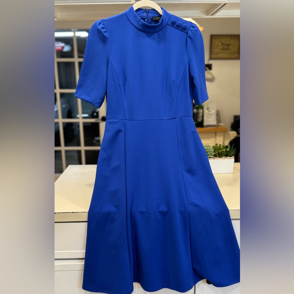 Elegant Blue Dress
